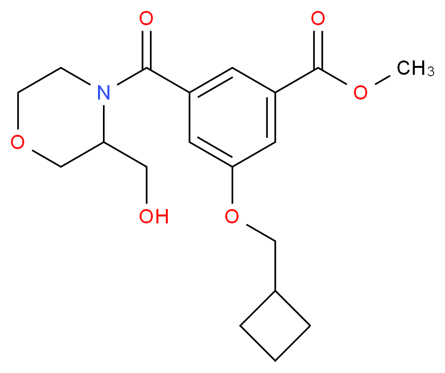  分子结构
