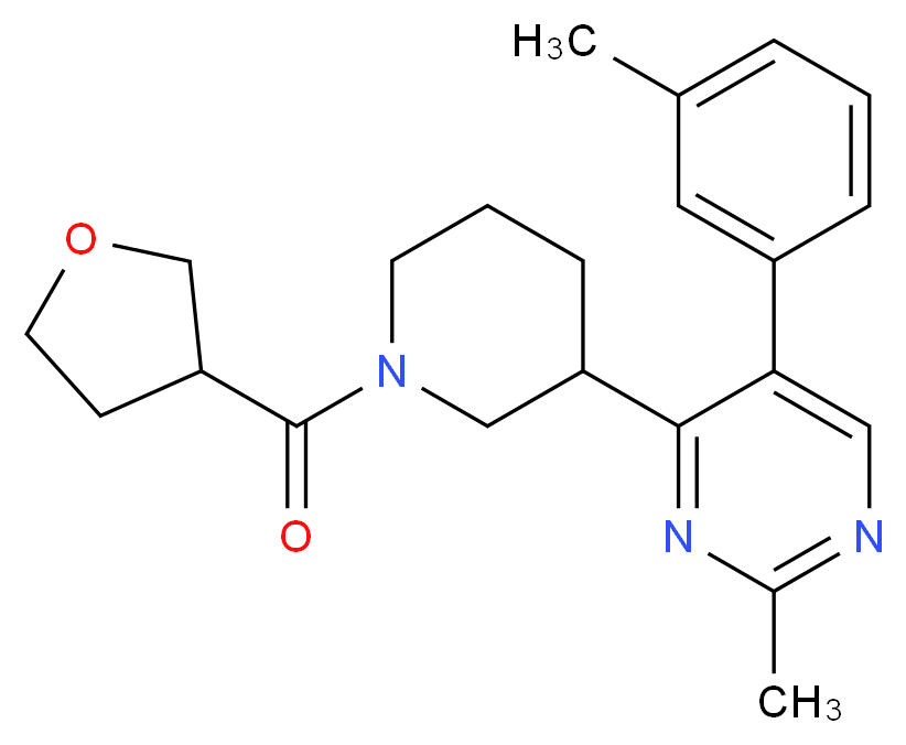  分子结构