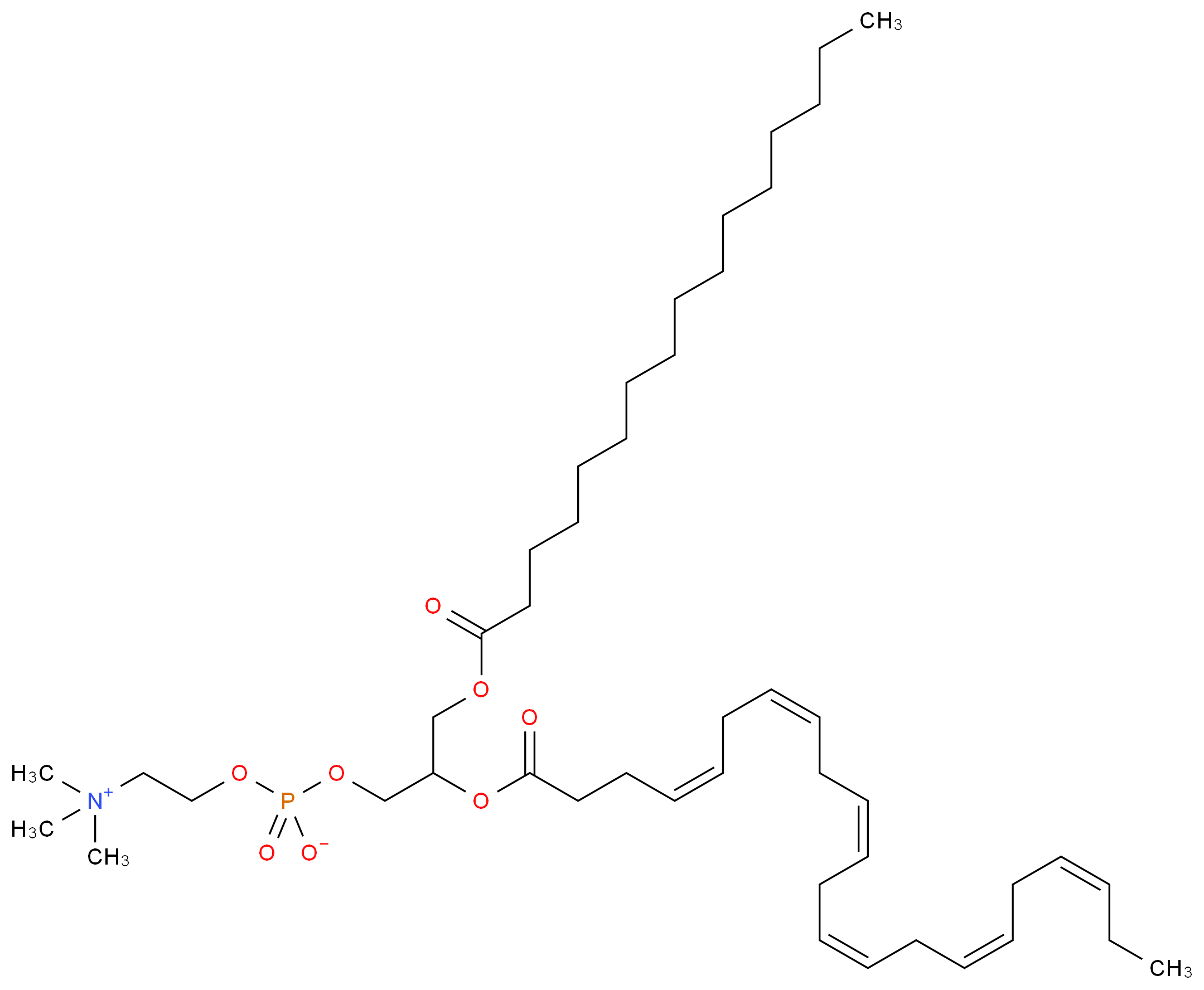 Palmitoyldocosahexaenoyl Phosphatidylcholine_分子结构_CAS_59403-54-2)