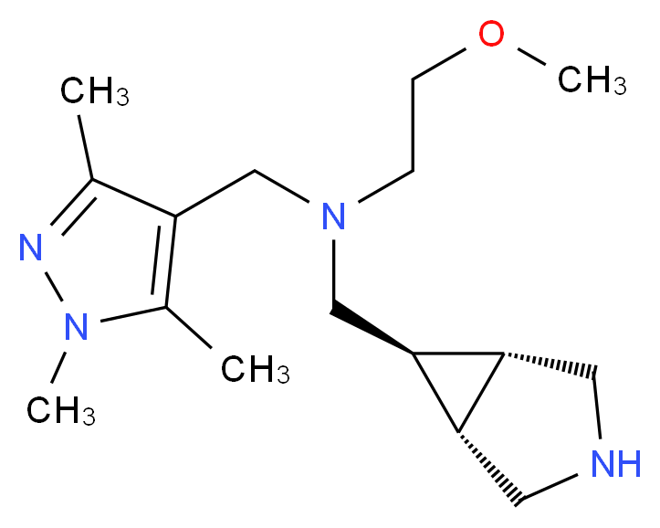  分子结构