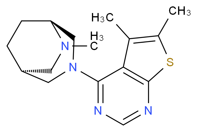  分子结构