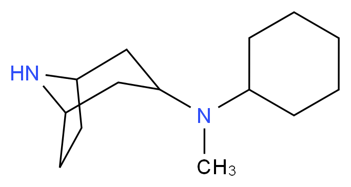 N-Cyclohexyl-N-methyl-8-azabicyclo[3.2.1]octan-3-amine_分子结构_CAS_)