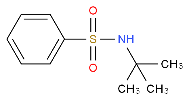 N-tert-butylbenzenesulfonamide_分子结构_CAS_2512-24-5