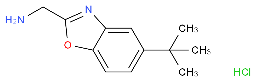 (5-tert-Butyl-1,3-benzoxazol-2-yl)methylamine hydrochloride_分子结构_CAS_)