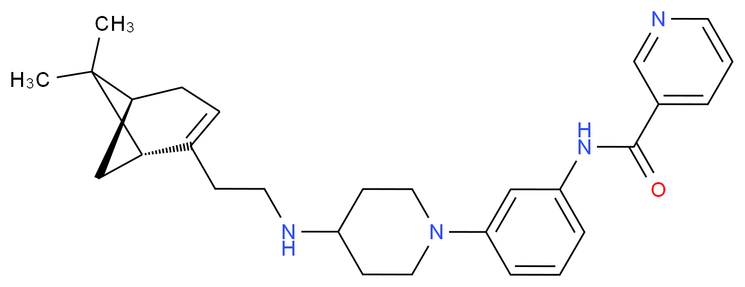  分子结构