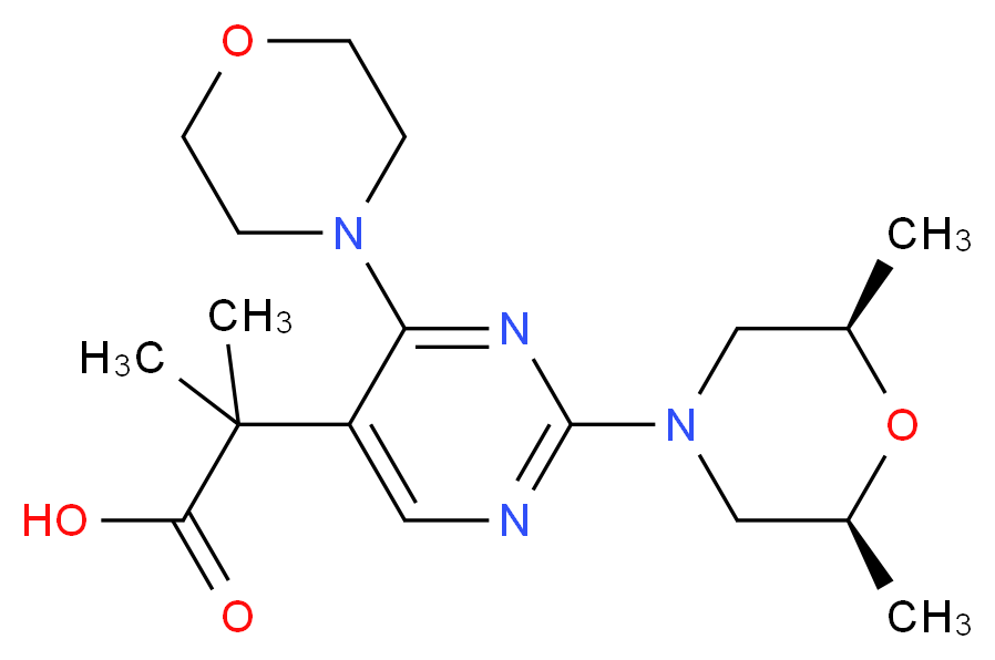  分子结构