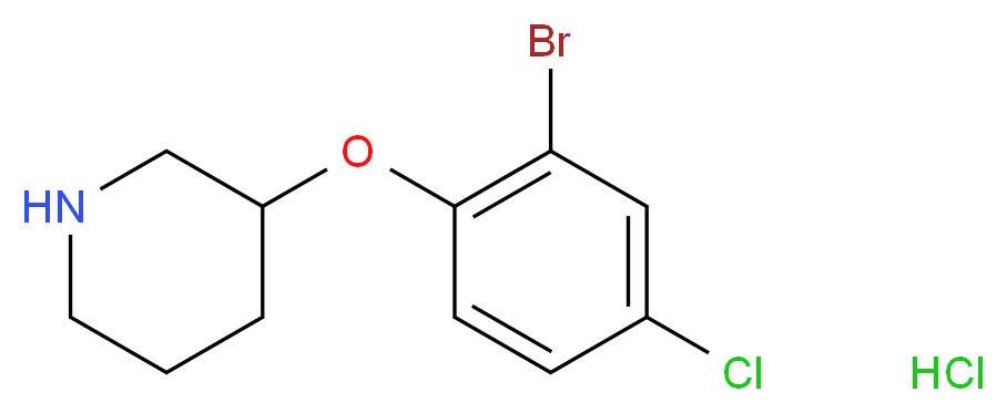 3-(2-Bromo-4-chlorophenoxy)piperidine hydrochloride_分子结构_CAS_)