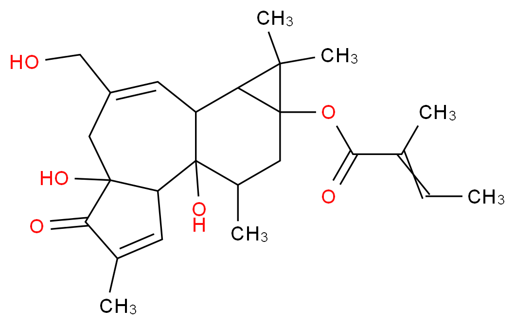 12-DEOXYPHORBOL 13-ANGELATE_分子结构_CAS_28152-96-7)