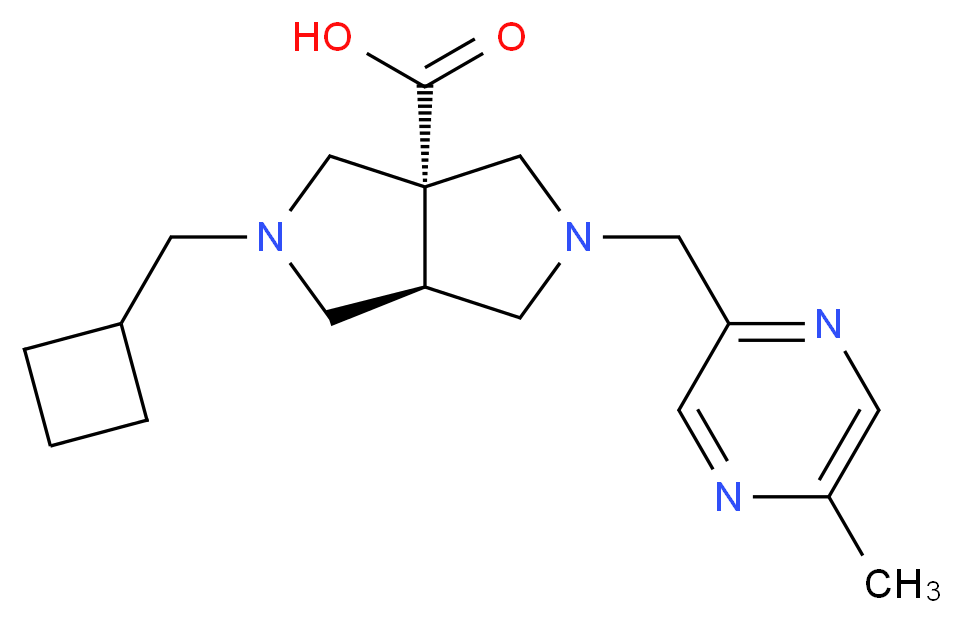  分子结构