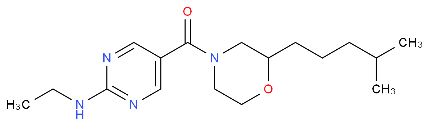 分子结构