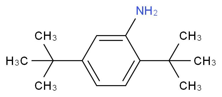 2,5-二叔丁基苯胺_分子结构_CAS_21860-03-7)