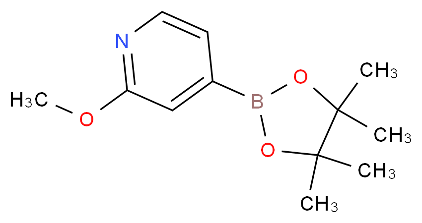 2-Methoxypyridine-4-boronic acid pinacol ester_分子结构_CAS_408502-23-8)