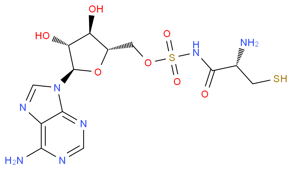 CAS_ 分子结构