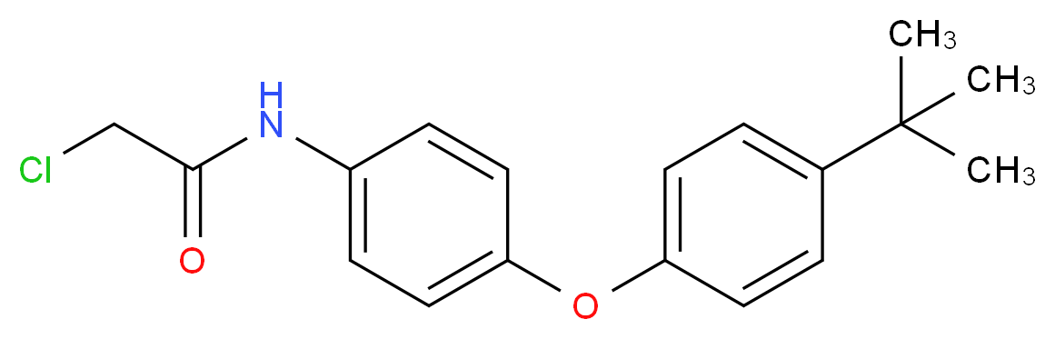 N-[4-(4-tert-Butylphenoxy)phenyl]-2-chloroacetamide_分子结构_CAS_)