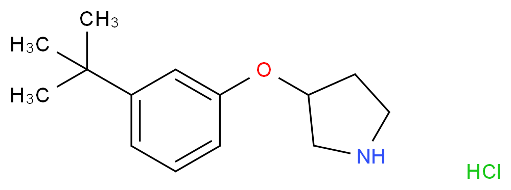 3-[3-(tert-Butyl)phenoxy]pyrrolidine hydrochloride_分子结构_CAS_)