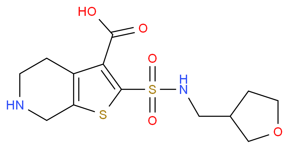 2-{[(tetrahydrofuran-3-ylmethyl)amino]sulfonyl}-4,5,6,7-tetrahydrothieno[2,3-c]pyridine-3-carboxylic acid_分子结构_CAS_)