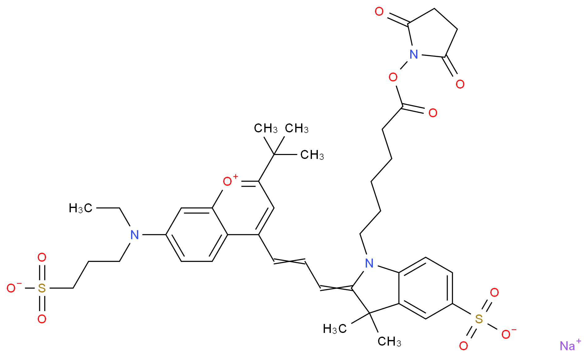 CAS_ 分子结构