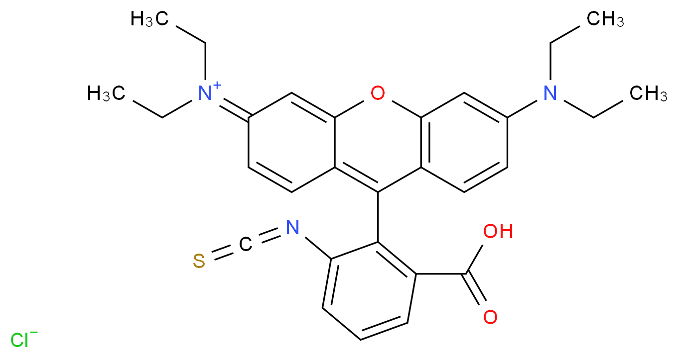 9-(2-carboxy-6-isothiocyanatophenyl)-6-(diethylamino)-N,N-diethyl-3H-xanthen-3-iminium chloride_分子结构_CAS_36877-69-7