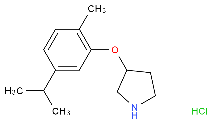 3-(5-Isopropyl-2-methylphenoxy)pyrrolidine hydrochloride_分子结构_CAS_)