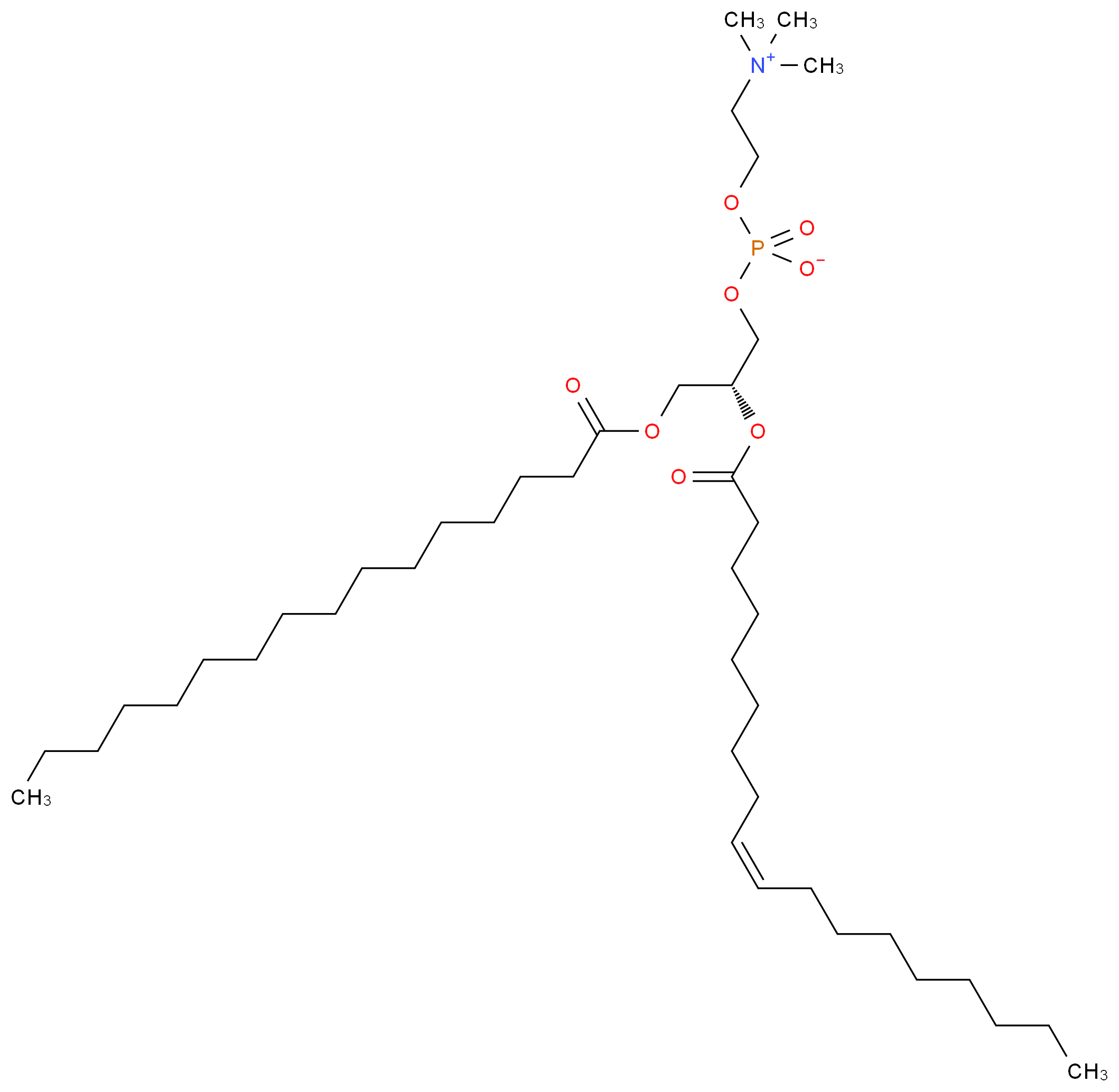 (2-{[(2R)-3-(hexadecanoyloxy)-2-[(9Z)-octadec-9-enoyloxy]propyl phosphonato]oxy}ethyl)trimethylazanium_分子结构_CAS_70778-75-5