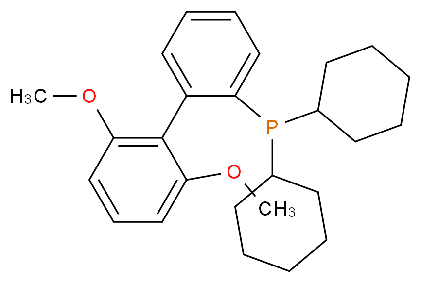 Dicyclohexyl(2',6'-dimethoxy-[1,1'-biphenyl]-2-yl)phosphine_分子结构_CAS_657408-07-6)