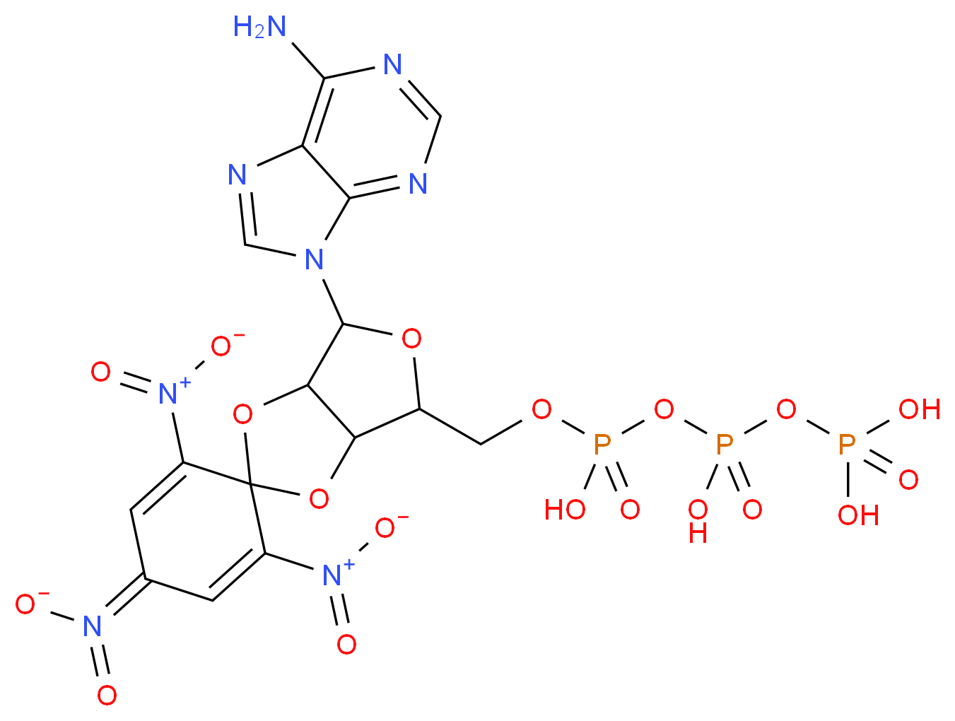 CAS_ 分子结构
