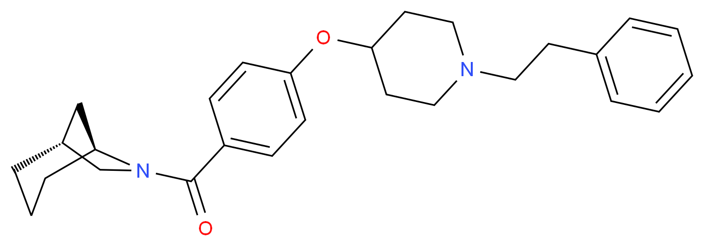  分子结构