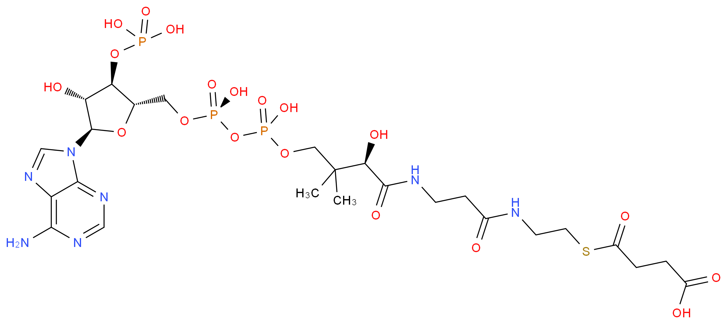 4-[(2-{3-[(2R)-3-[({[({[(2S,3R,4R,5R)-5-(6-amino-9H-purin-9-yl)-4-hydroxy-3-(phosphonooxy)oxolan-2-yl]methoxy}(hydroxy)phosphoryl)oxy](hydroxy)phosphoryl}oxy)methyl]-2-hydroxy-3-methylbutanamido]propanamido}ethyl)sulfanyl]-4-oxobutanoic acid_分子结构_CAS_604-98-8