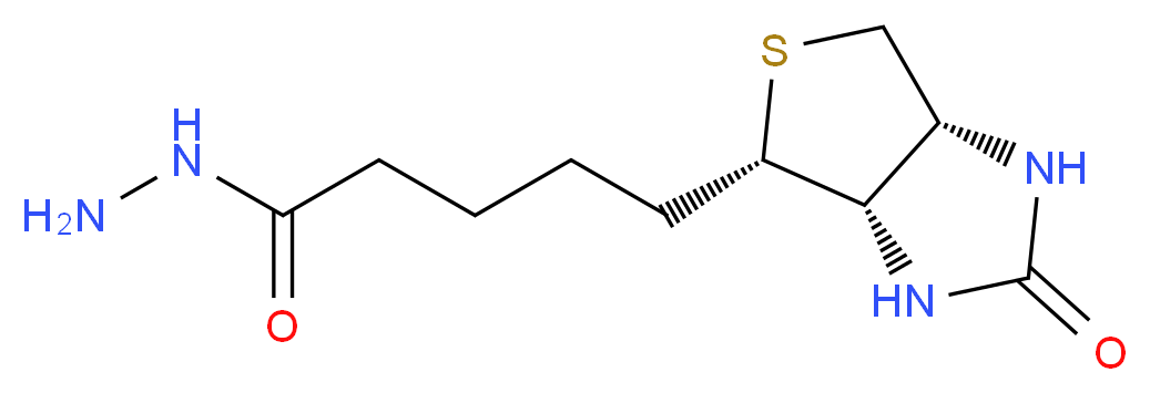 5-[(3aS,4S,6aR)-2-oxo-hexahydro-1H-thieno[3,4-d]imidazolidin-4-yl]pentanehydrazide_分子结构_CAS_66640-86-6