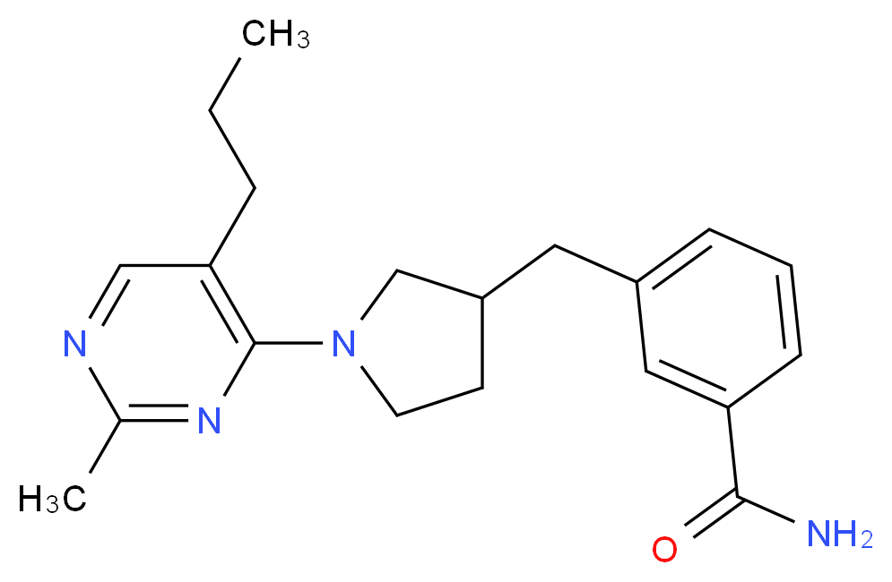  分子结构