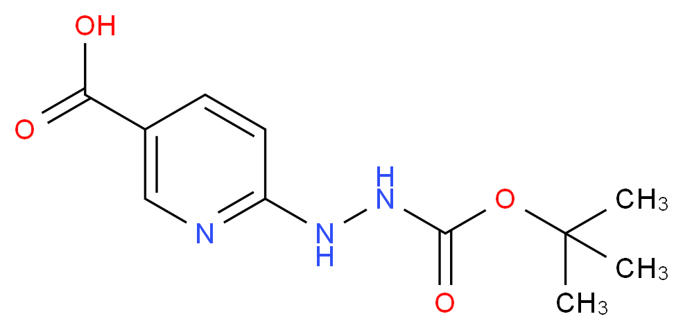 6-({[(tert-butoxy)carbonyl]amino}amino)pyridine-3-carboxylic acid_分子结构_CAS_133081-25-1