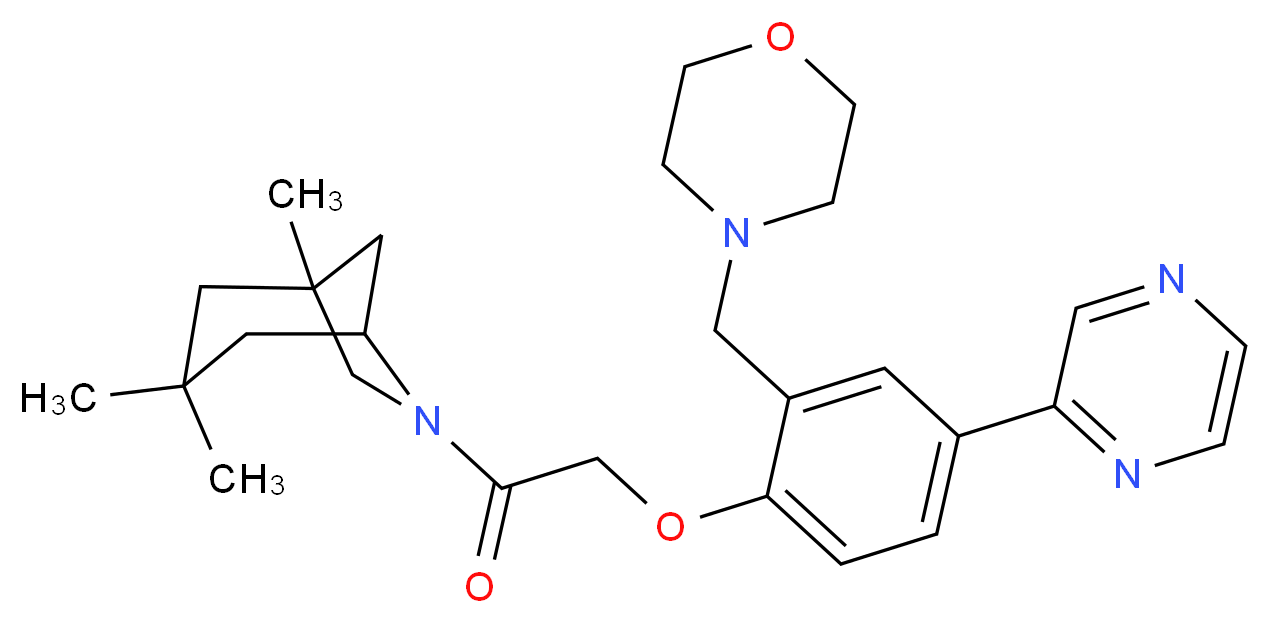 1,3,3-trimethyl-6-{[2-(4-morpholinylmethyl)-4-(2-pyrazinyl)phenoxy]acetyl}-6-azabicyclo[3.2.1]octane_分子结构_CAS_)
