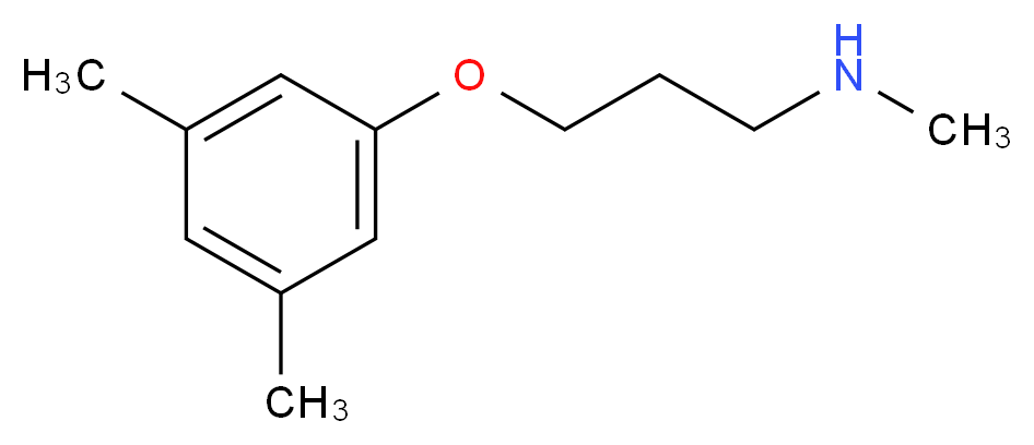 [3-(3,5-dimethylphenoxy)propyl](methyl)amine_分子结构_CAS_915921-52-7
