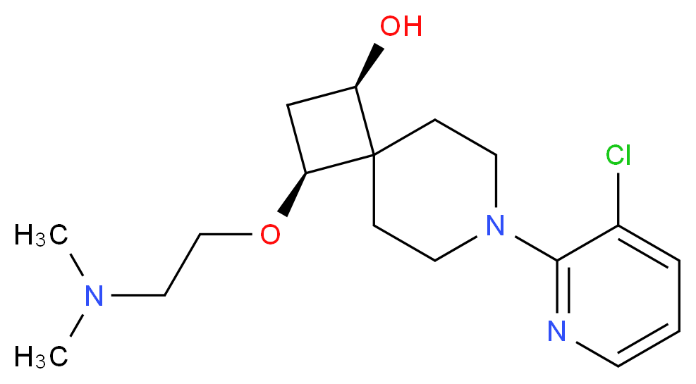  分子结构