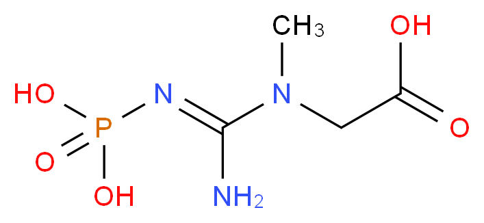 Phosphocreatine_分子结构_CAS_67-07-2)