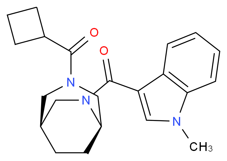  分子结构