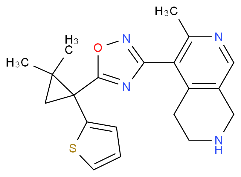 5-{5-[2,2-dimethyl-1-(2-thienyl)cyclopropyl]-1,2,4-oxadiazol-3-yl}-6-methyl-1,2,3,4-tetrahydro-2,7-naphthyridine_分子结构_CAS_)