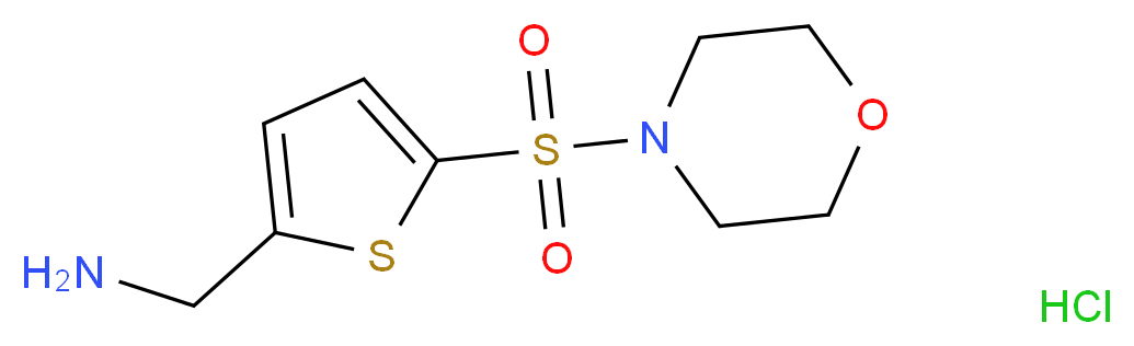 _分子结构_CAS_)