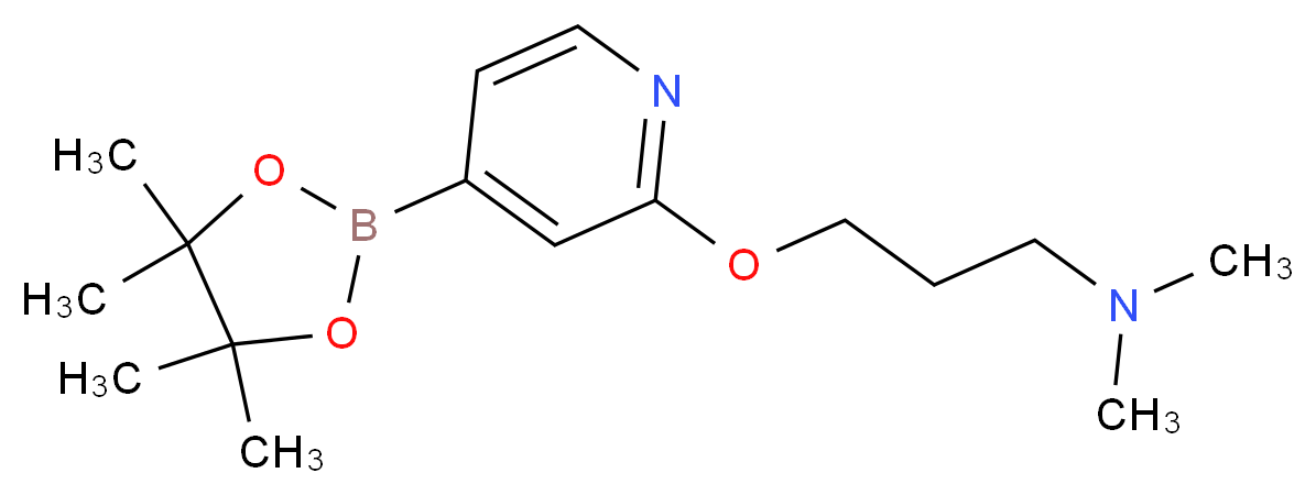 dimethyl(3-{[4-(tetramethyl-1,3,2-dioxaborolan-2-yl)pyridin-2-yl]oxy}propyl)amine_分子结构_CAS_1346697-33-3