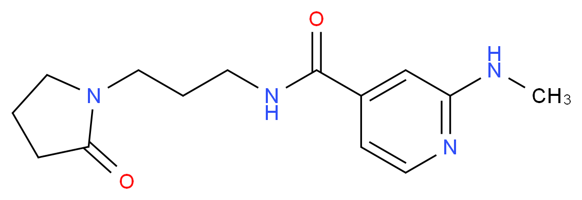 2-(methylamino)-N-[3-(2-oxopyrrolidin-1-yl)propyl]isonicotinamide_分子结构_CAS_)