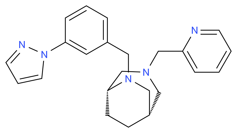  分子结构