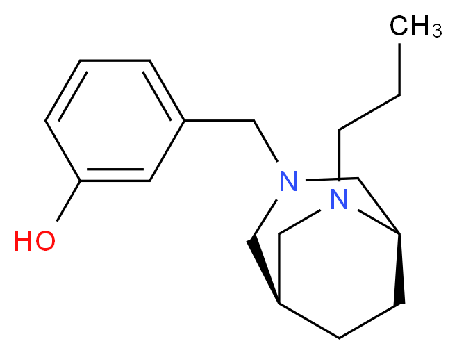  分子结构