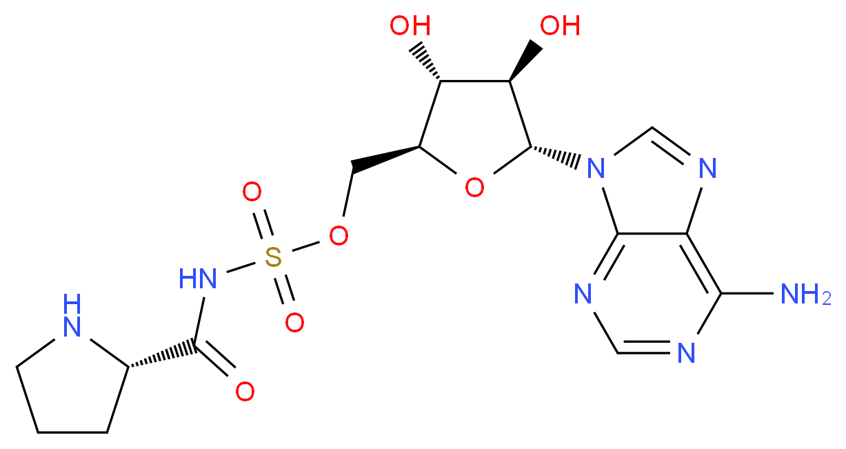 CAS_ 分子结构