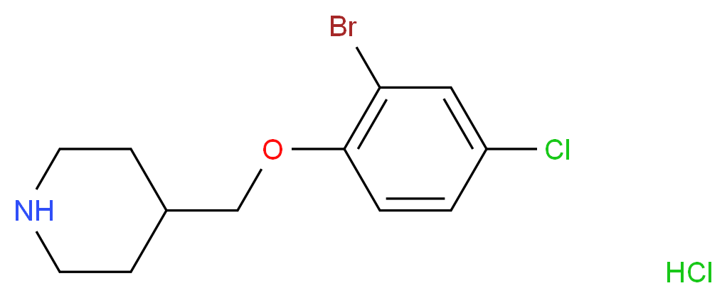 MFCD13561111 分子结构