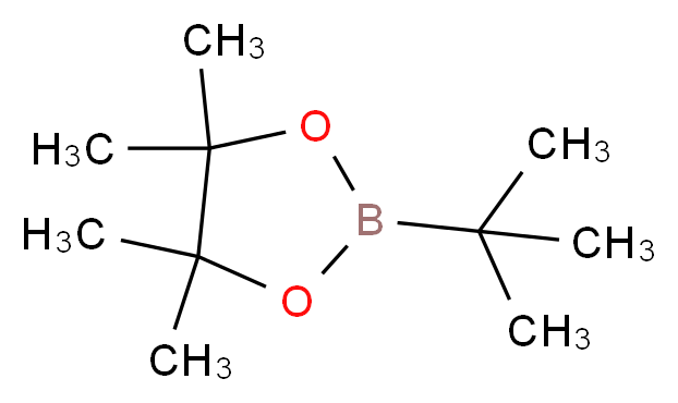 2-tert-butyl-4,4,5,5-tetramethyl-1,3,2-dioxaborolane_分子结构_CAS_99810-76-1