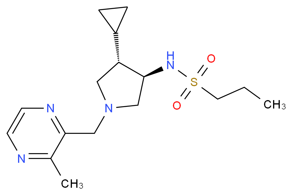 CAS_ 分子结构