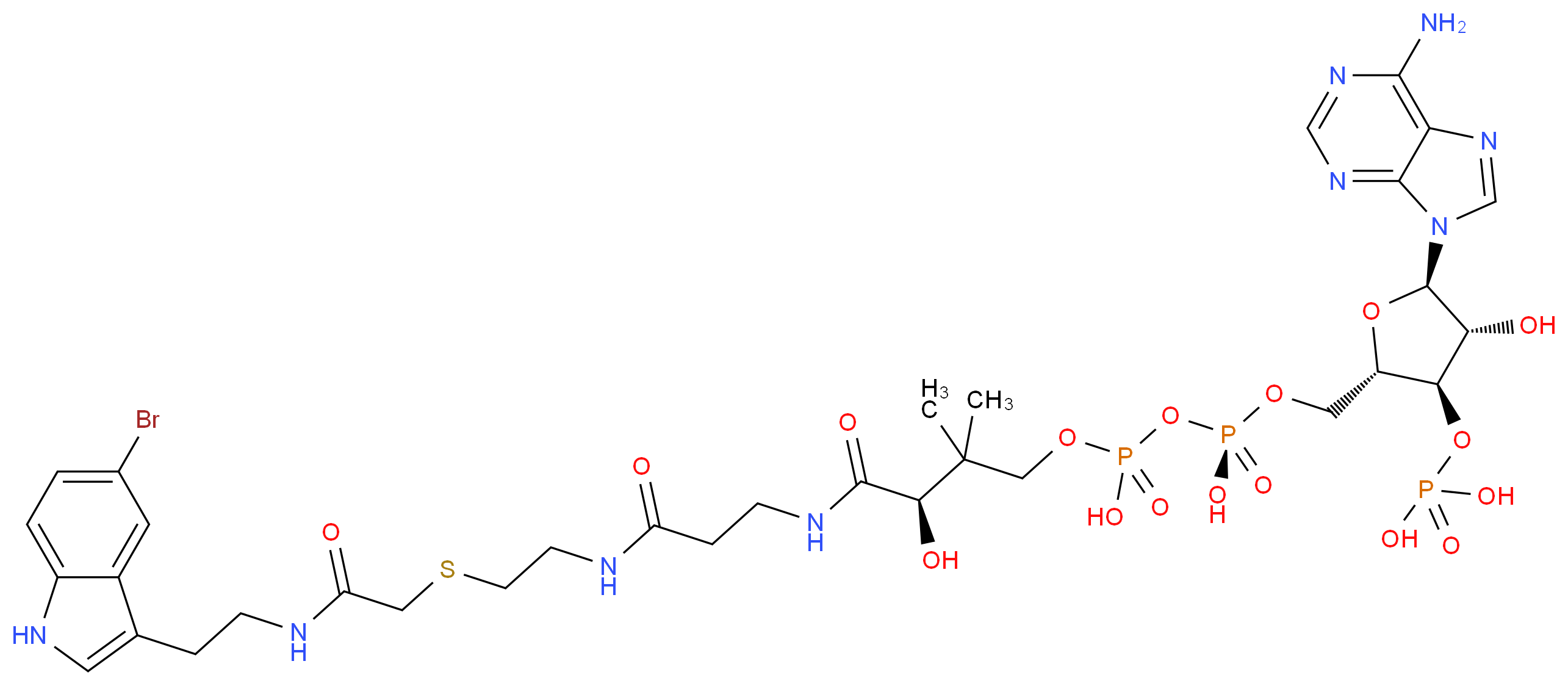 CAS_ 分子结构