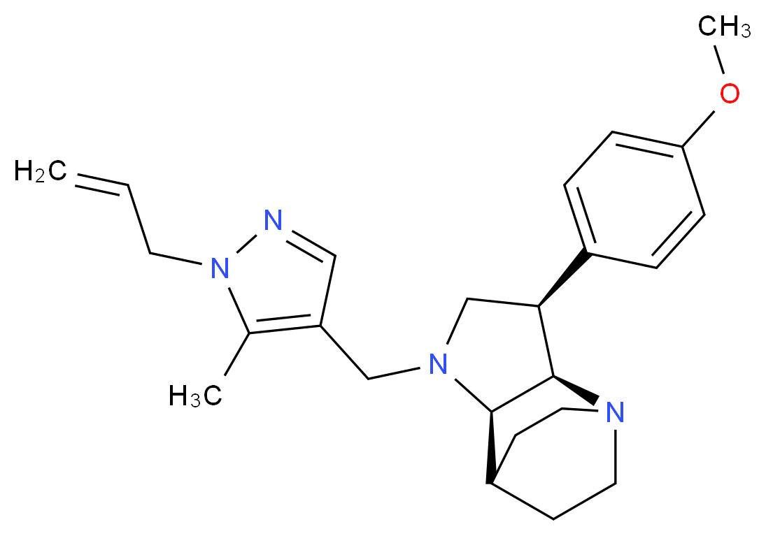  分子结构