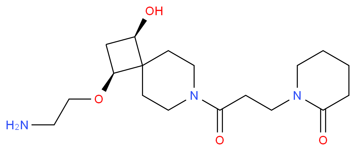  分子结构