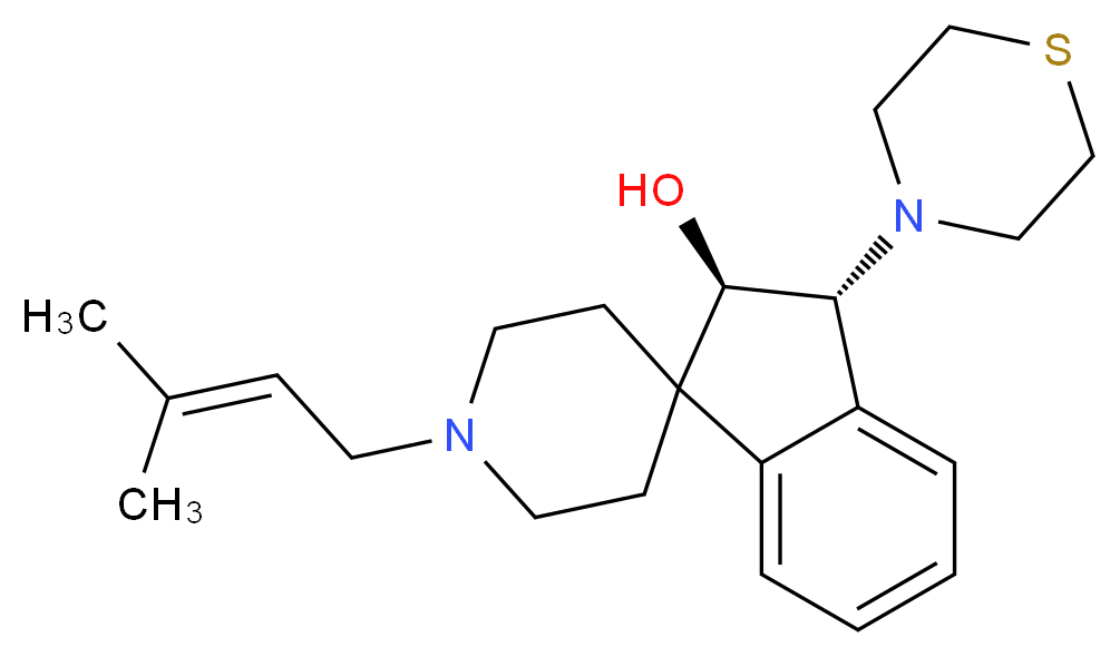  分子结构